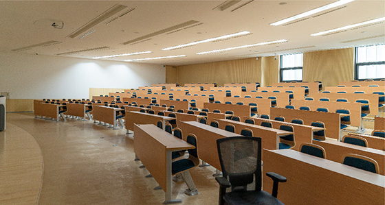 About DVS School